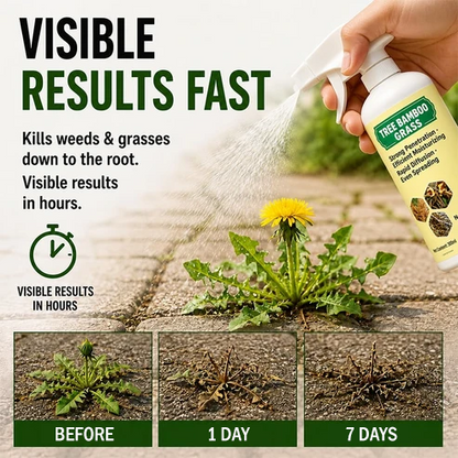 🏆 Ultimate Deal — 90% OFF Best Price • Biggest Savings