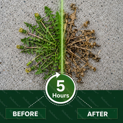 5-Hour Max Power🎉 Dual-Action Herbicide | Fast-Acting Granules for Stubborn Weeds & Brush