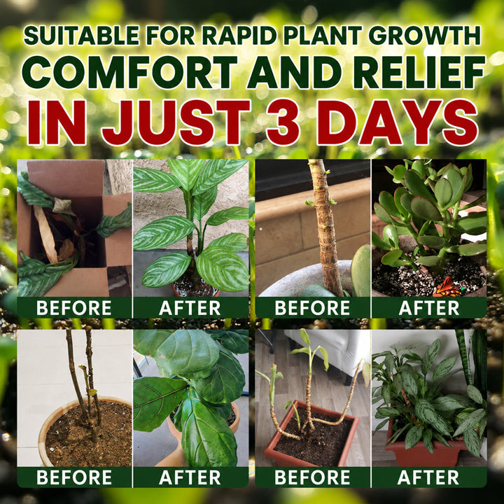 Official US🎉 Store  Universal Plant Nutrient Solution